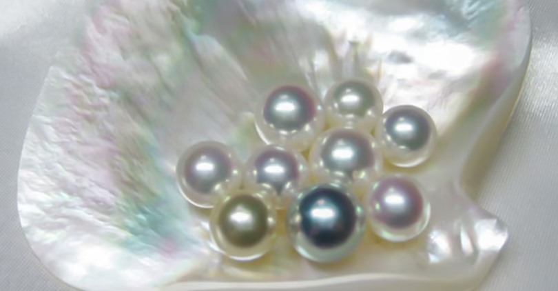 white south Sea Pearls